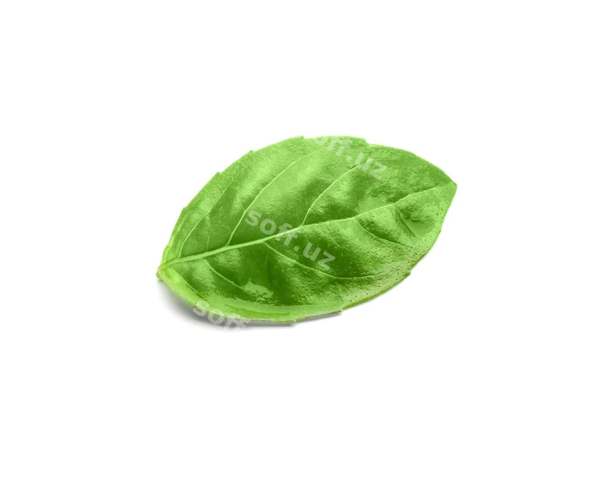 Yashil yangi organik bazil ajraltirilgan oq | Green fresh organic basil isolated white 1