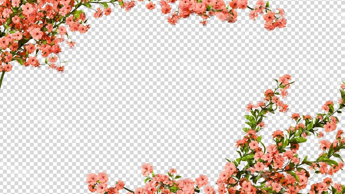 Yashil ramka botanika dekorasi | Greenery frame botanical decor 1