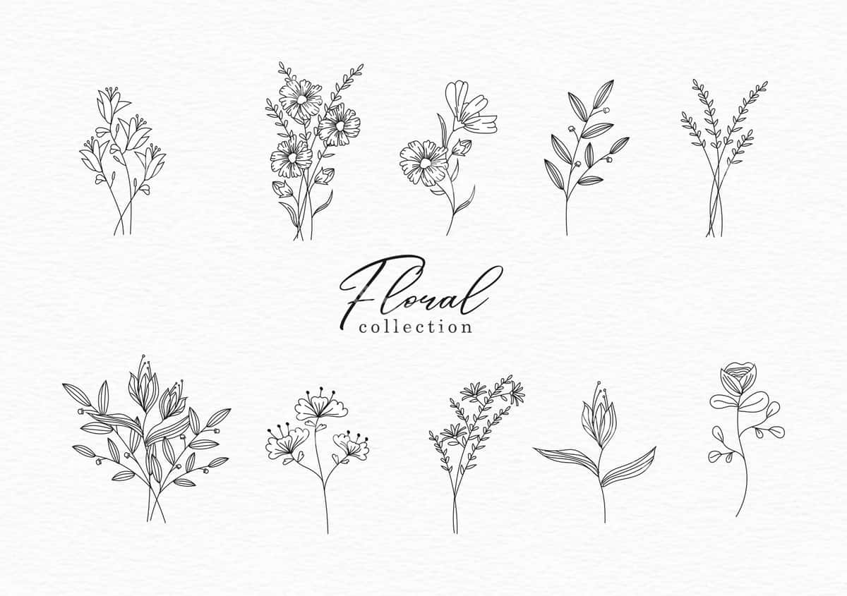 Qo'l bilan chizilgan siluet gulli to'plam | Hand drawn outline floral collection 1