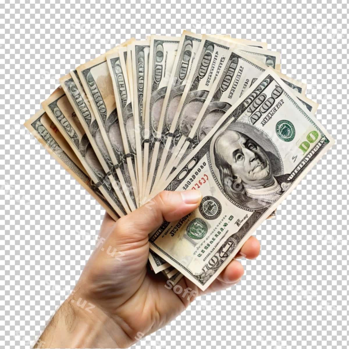 Dollarni tutgan qo'l | Hand holding dollars 1