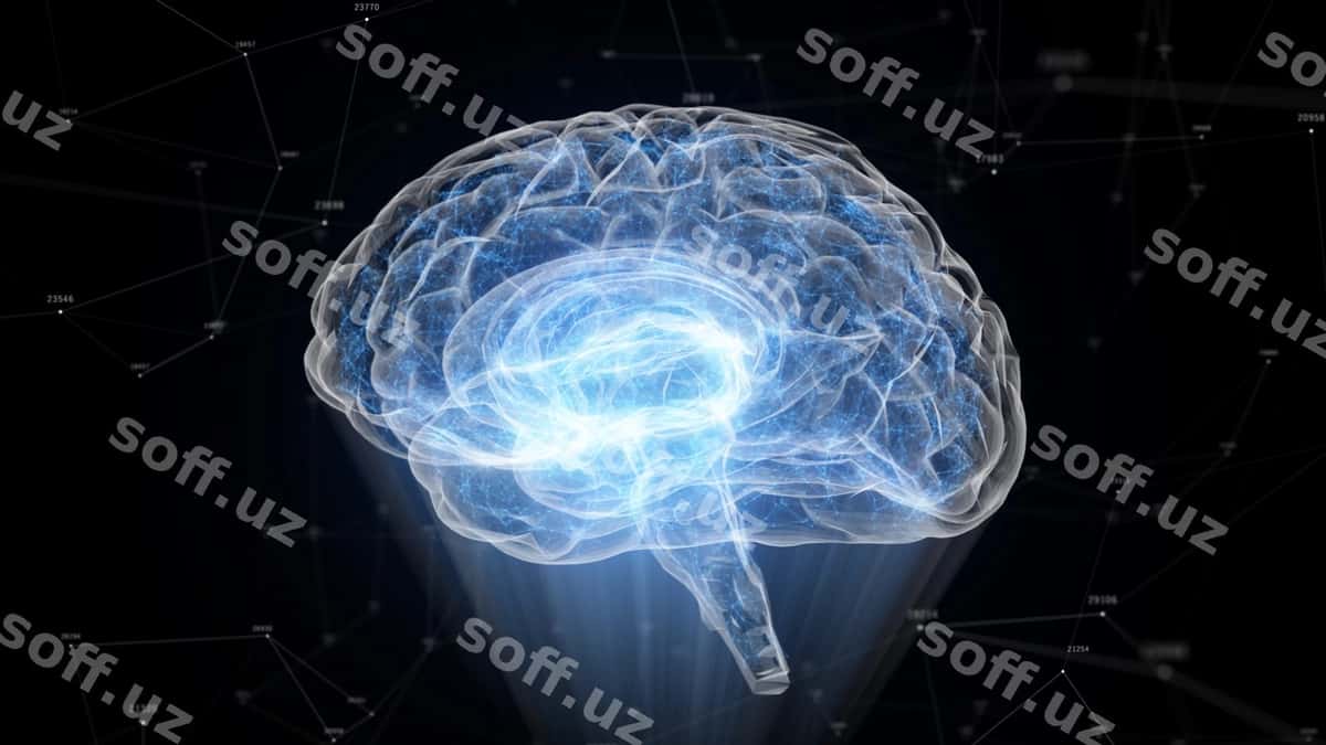 Inson boshi nurli zarralarni hosil qildi. | Human brain formed luminous particles 1