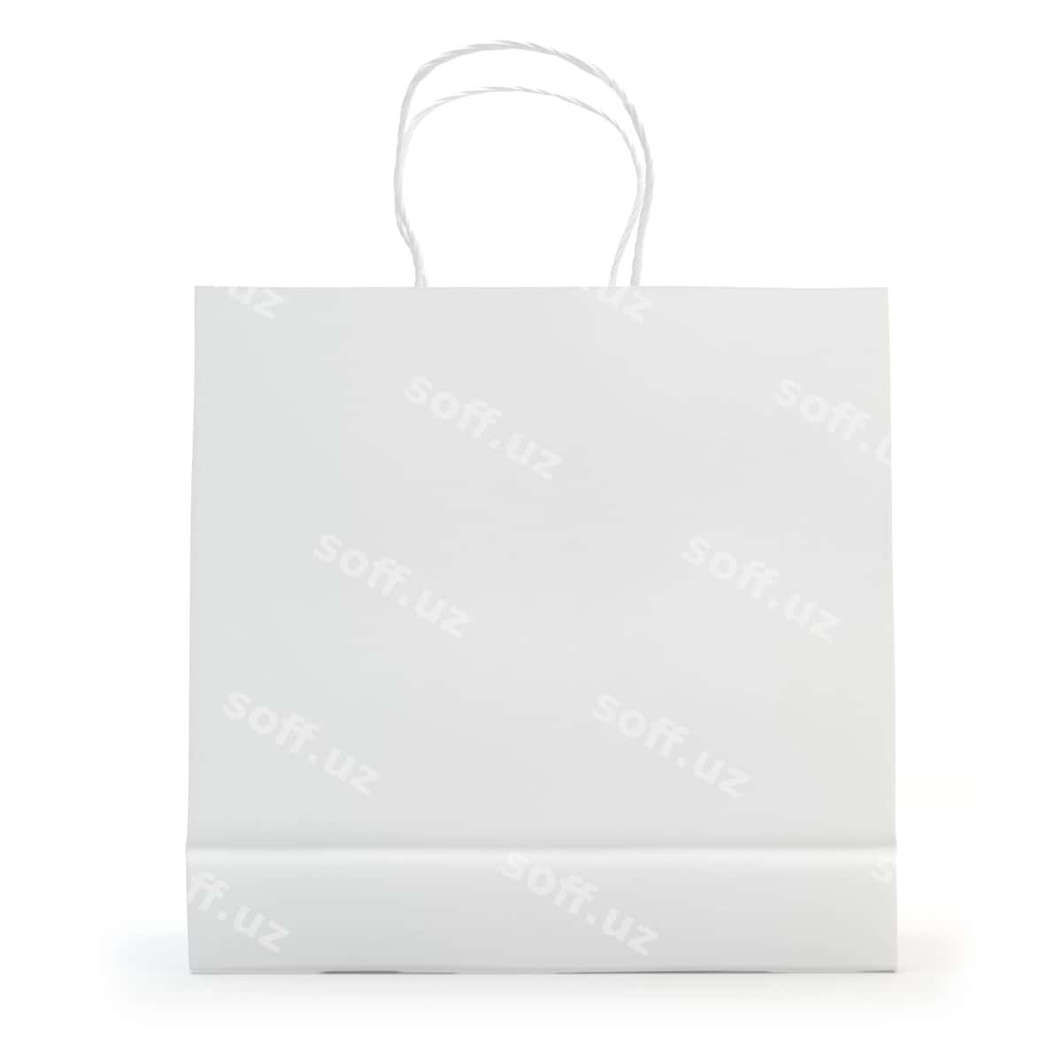 Illustratsiya qogʻoz poʻla | Illustration paper bag 1
