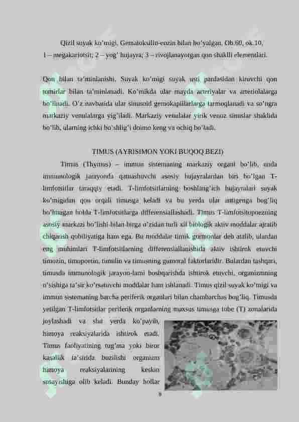 Organizmning immun sisemasi. 8