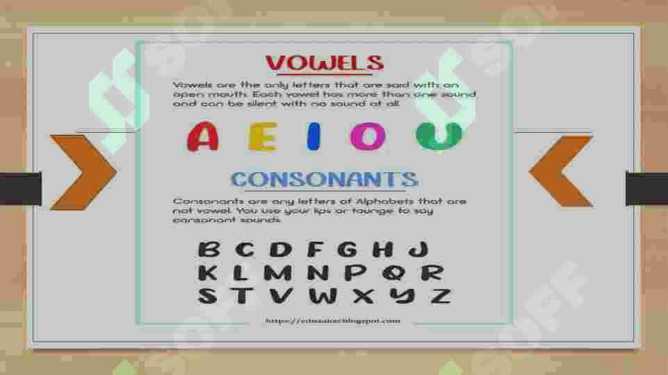 The principles of the classification of consonant phonemes and vowel phonemes 3