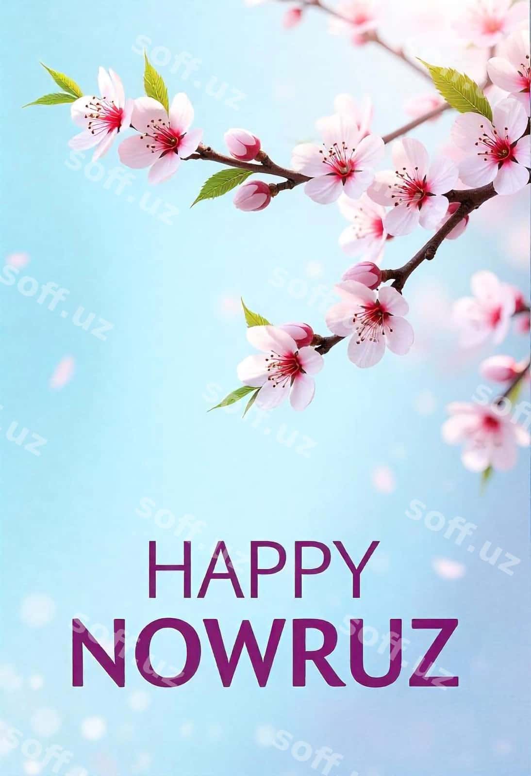Xalqaro Navro'z kuni | International day nowruz 1