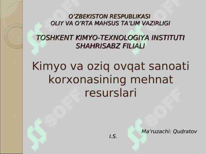 Kimyo va oziq ovqat sanoati korxonasining mehnat resurslari