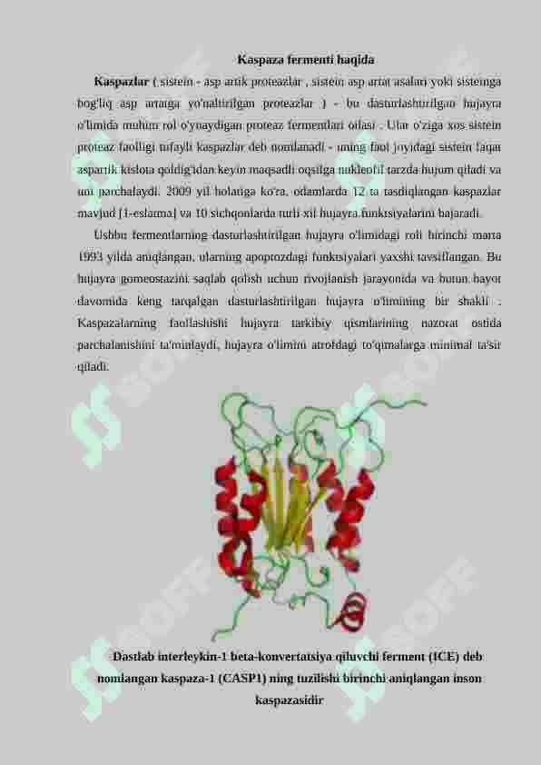 Kaspaza fermenti va  uning qo'llanilishi 2