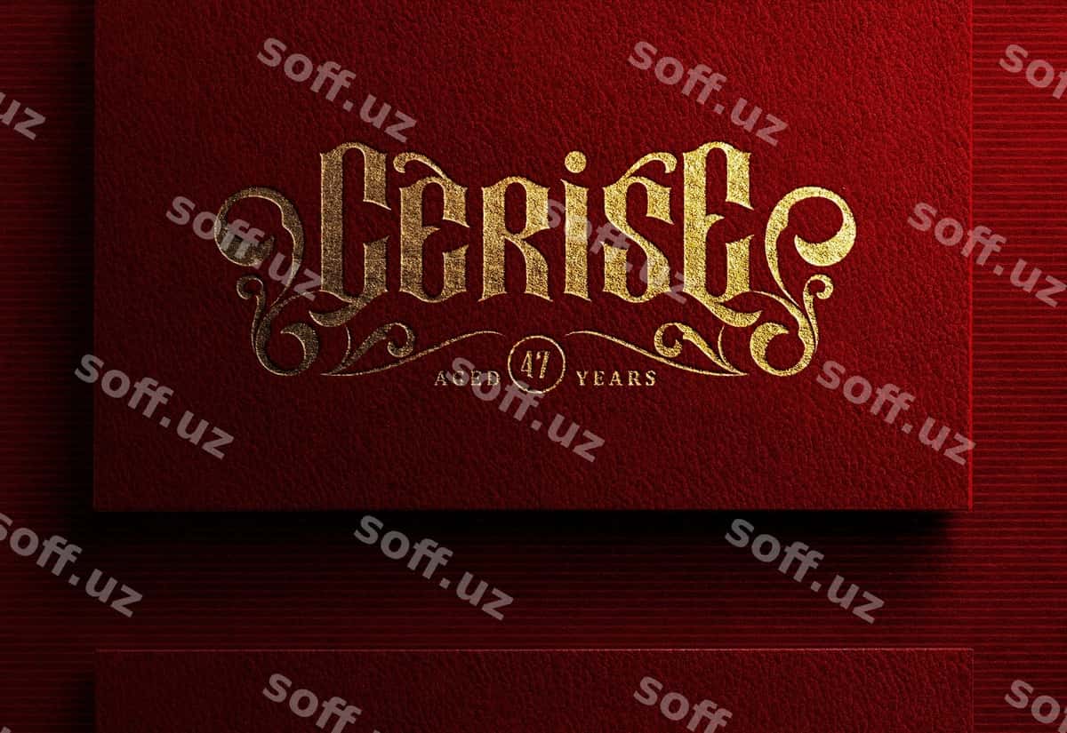 Boshqat logotip namunasi qora qizil biznes karta | Luxury logo mockup dark red business card 1