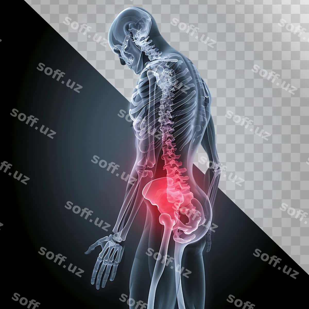 Erkak uning orqagida orqa agridan. | Man with back pain his back 1