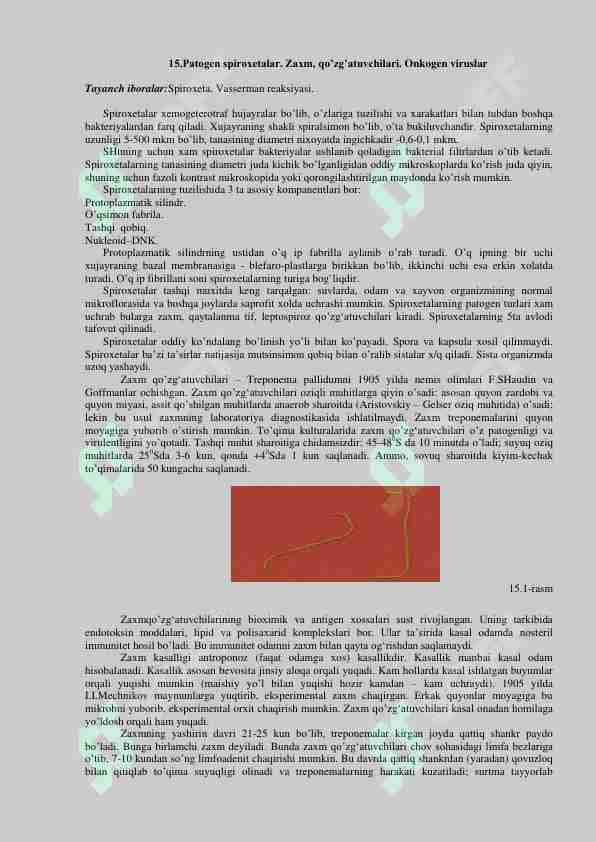 Patogen spiroxetalar. Zaxm qo'zgatuvchi. Onkogen viruslar