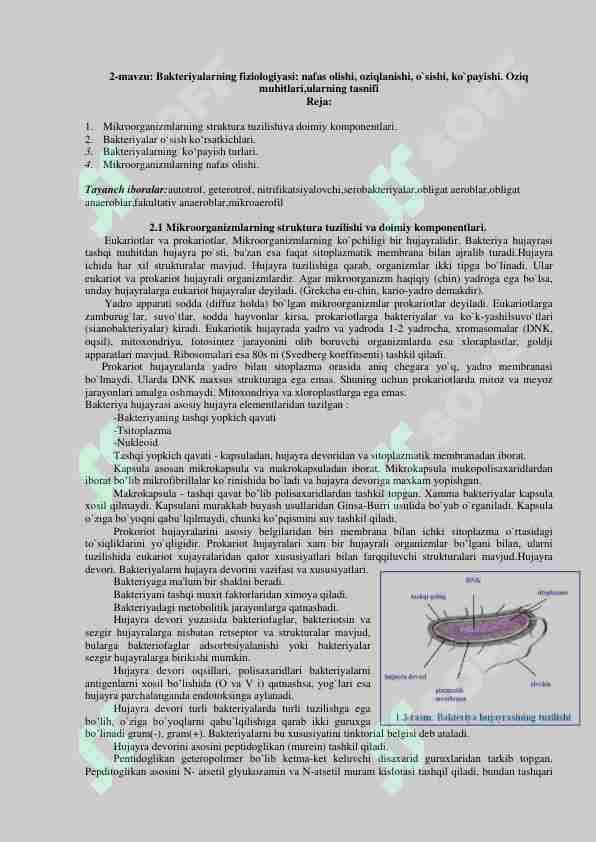 Bakteriyalarning fiziologiyasi: nafas olishi, oziqlanishi,Osishi kopayishi. Oziq muhitlari.