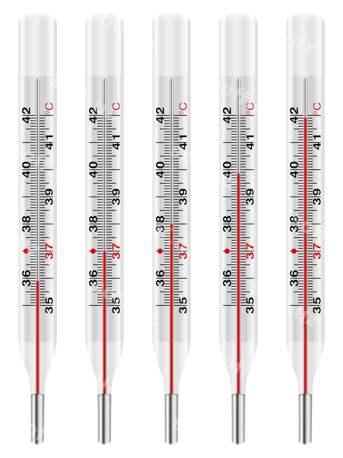 Tibbiy termometr komplekti | Medical thermometer set 1