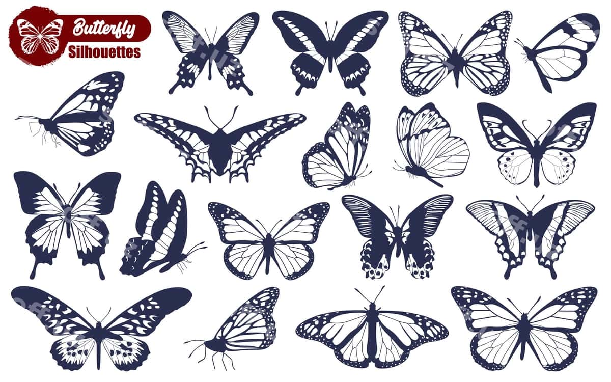 Monokrom pozilavoy siluetlari vektor | Monochrome butterfly silhouettes vector 1