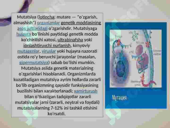 MUTATSIYALARNING EVOLUTSIYADAGI AHAMIYATI 2