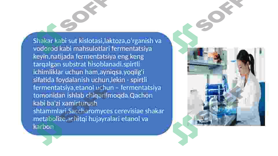 Bioetanol olish texnologiyasi 3