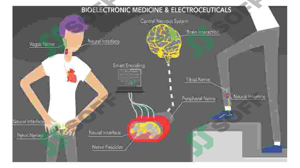 Bioelektronika 3
