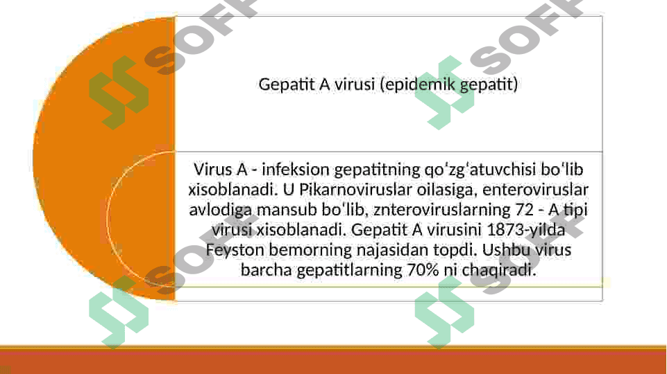 ibfeksion gepatitlarni qo'zg'atuvchi viruslar 3