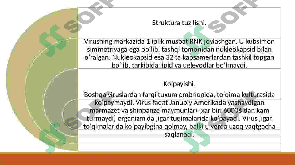 ibfeksion gepatitlarni qo'zg'atuvchi viruslar 5