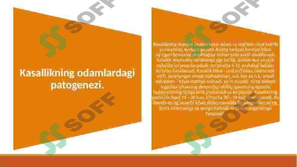 ibfeksion gepatitlarni qo'zg'atuvchi viruslar 8