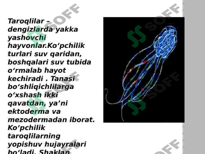 taroqlilar 3