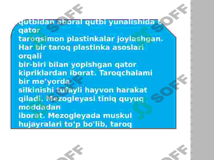 taroqlilar 6