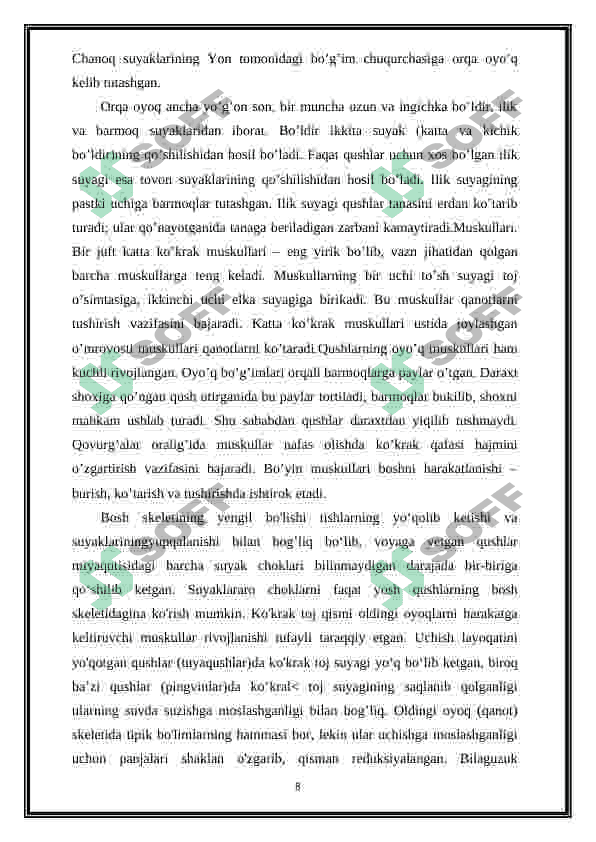 chumchuqsimonlar turkumi 8