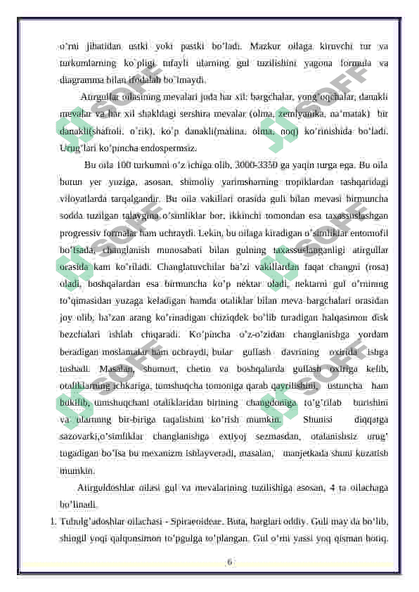 ra'nodoshlar oilari (ra'nokabilar) 6