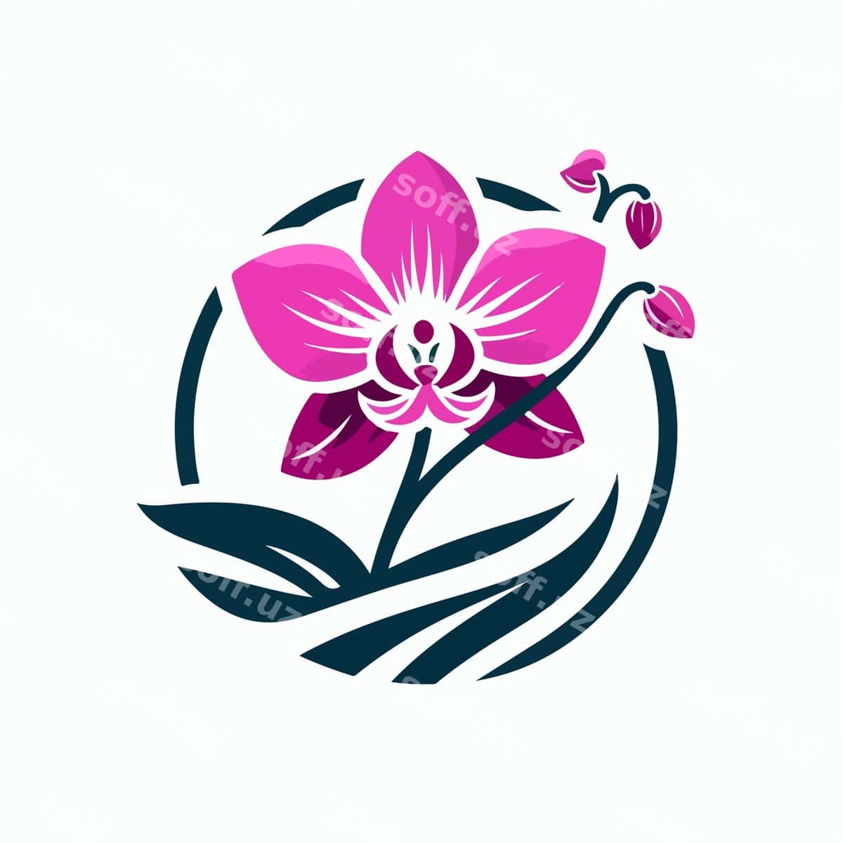 Orxida logotip illustratsiyasi | Orchid logo illustration 1