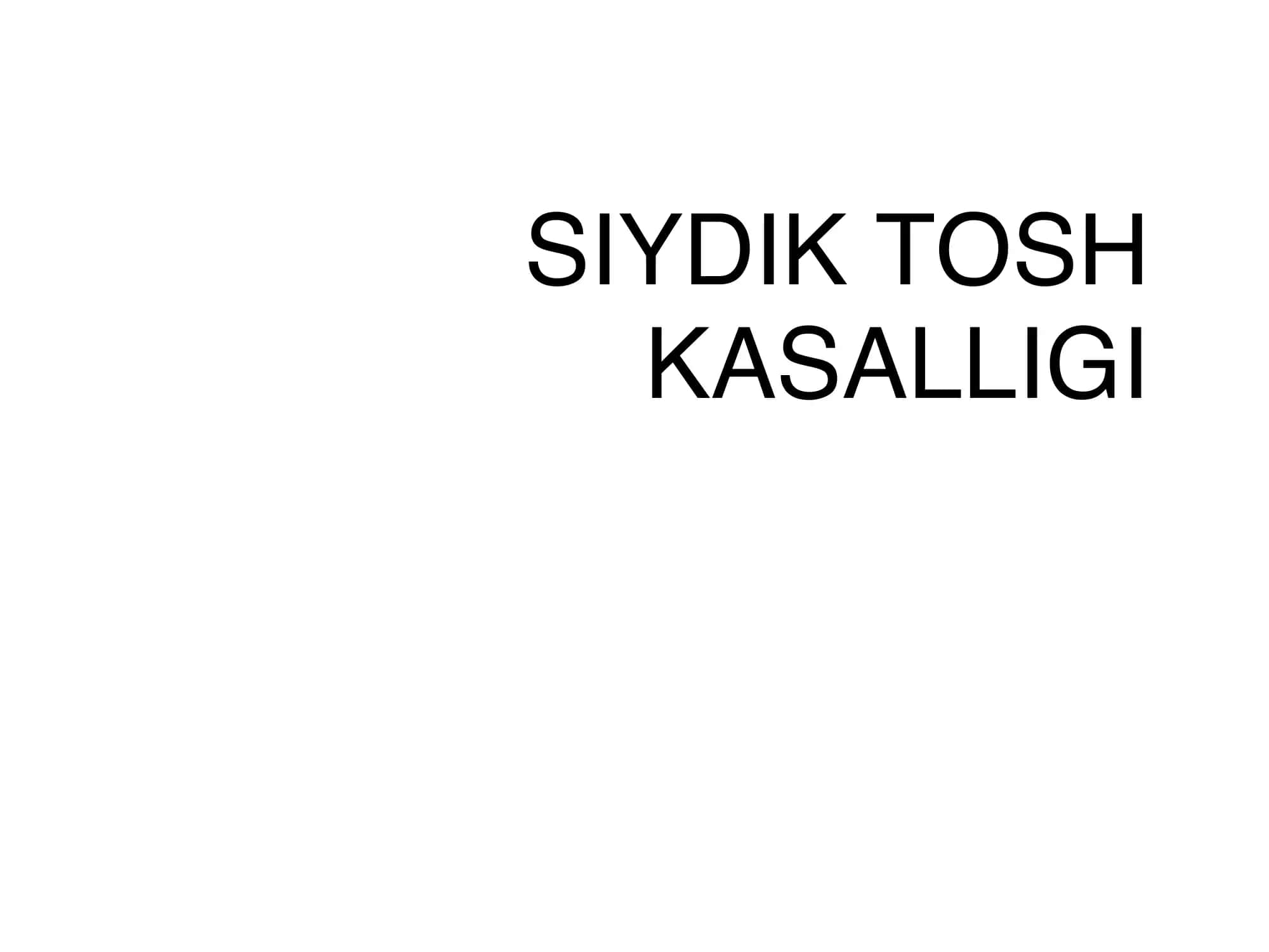 Siydik Tosh Kasalligi 1