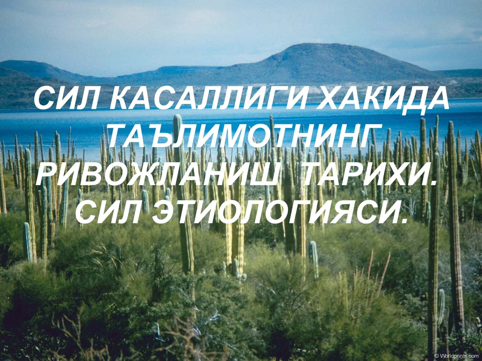 Сил касаллиги хакида таълимот 1