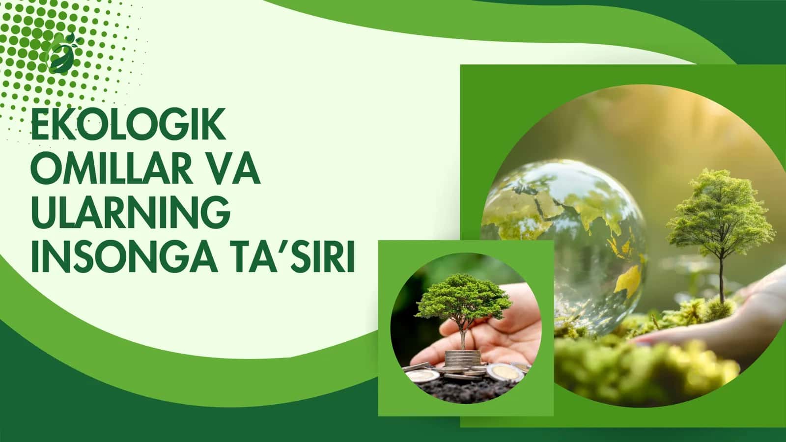 Ekologik Omillar va Ularning Insonga Ta’siri 1