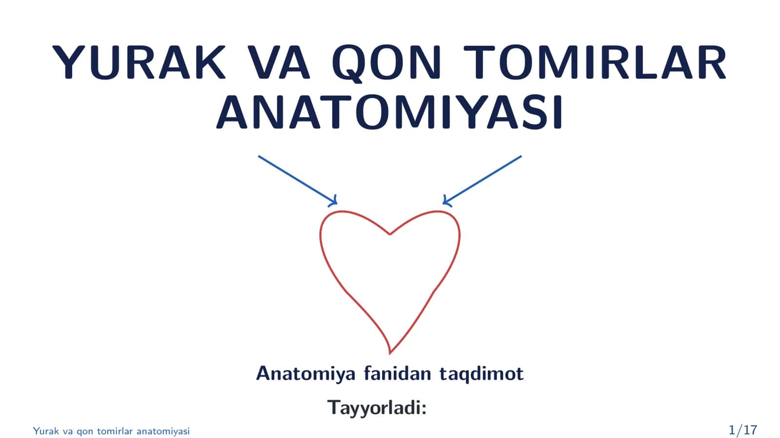 Yurak va qon tomirlar anatomiyasi 1