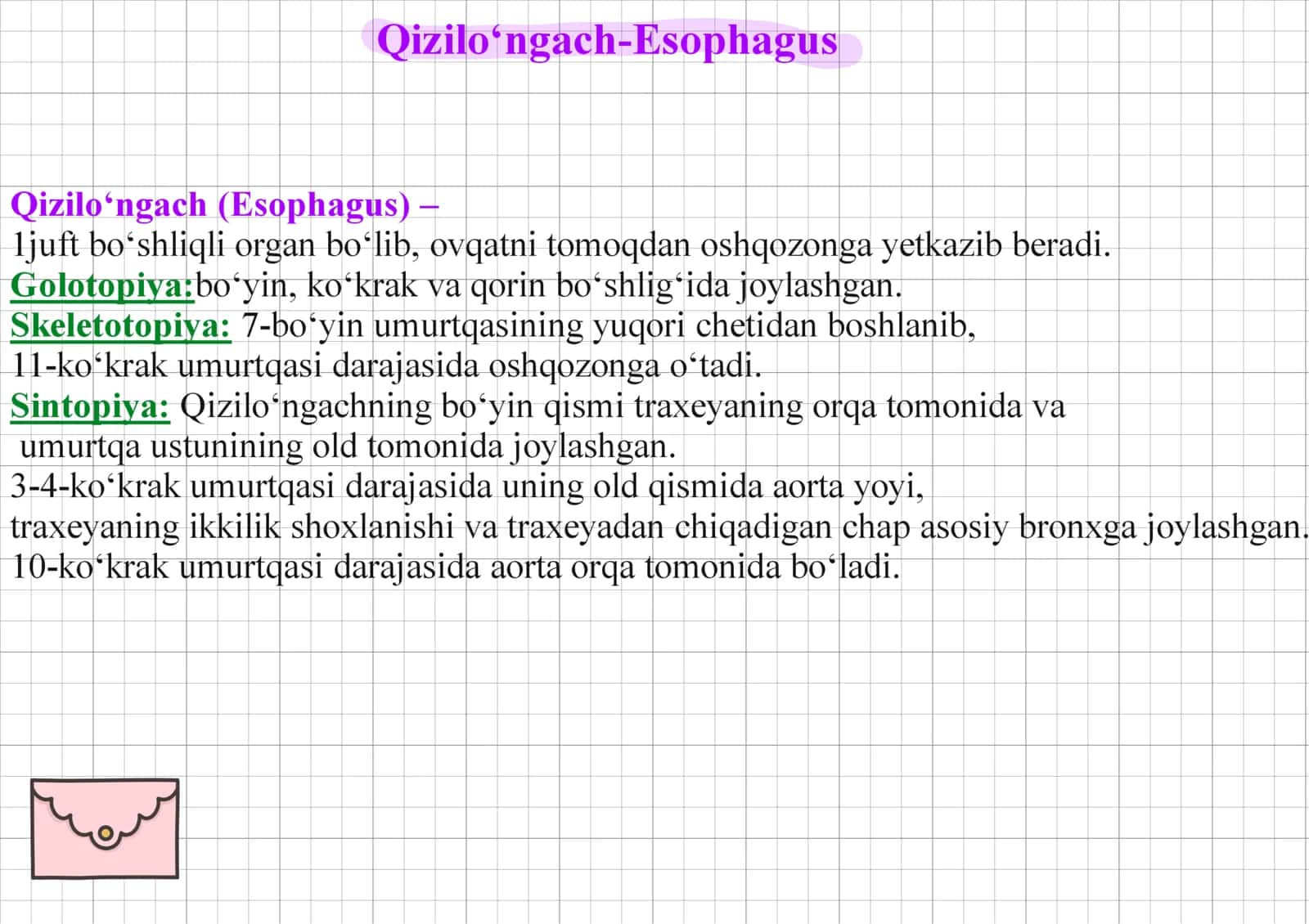 Qiziloʻngach, esophageus. 1