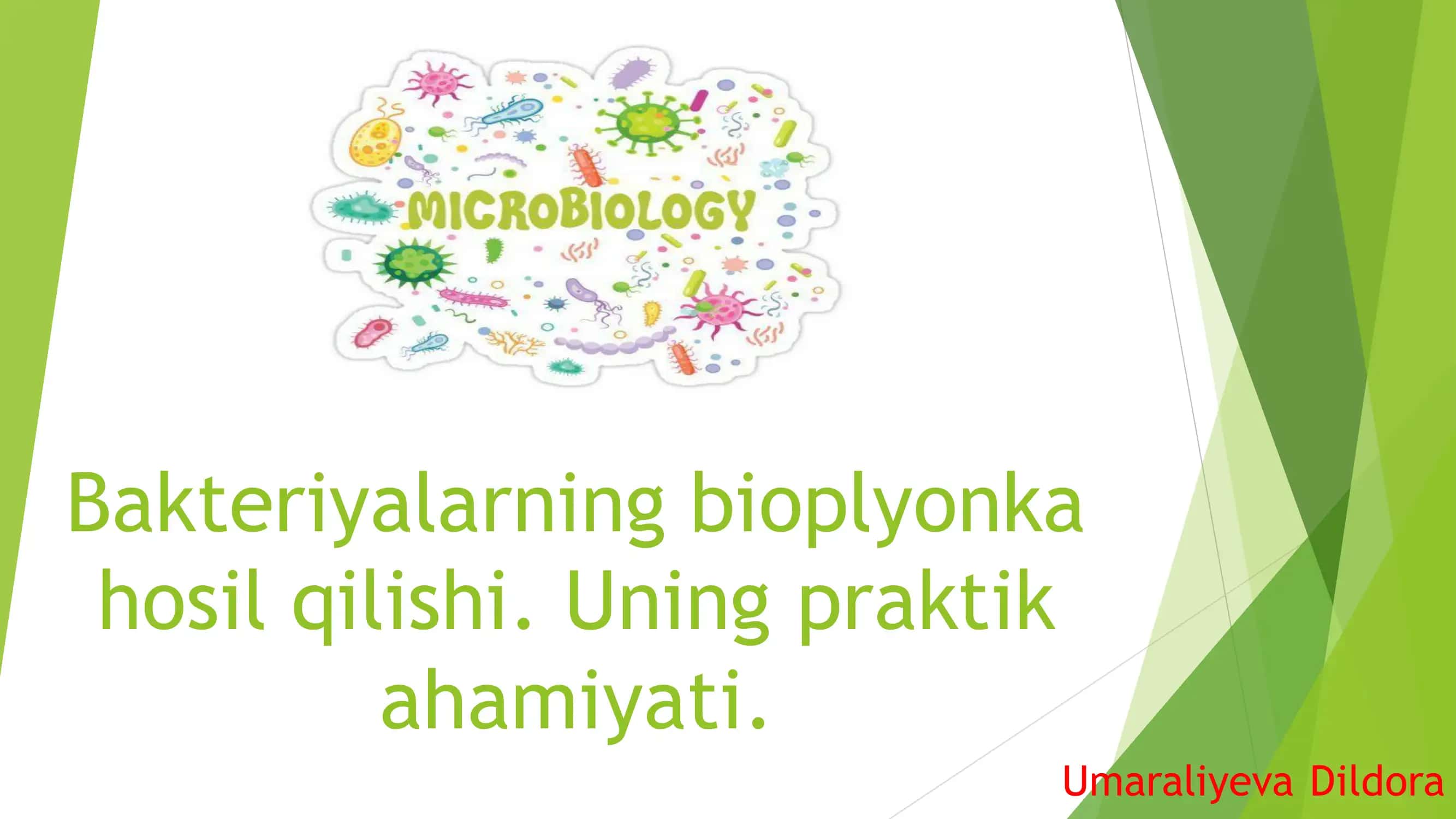 Bioplyonka 1