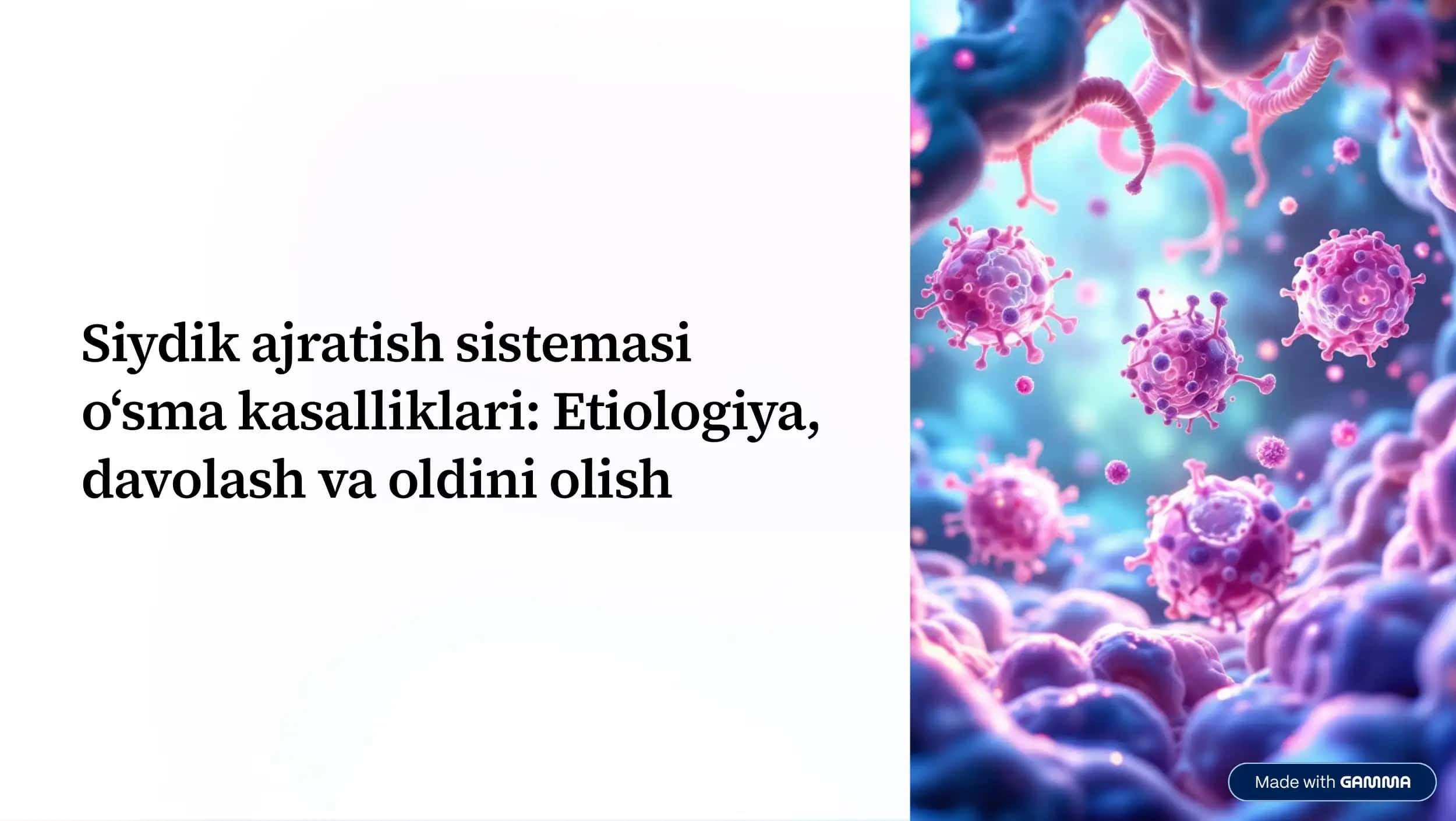 Siydik ajratish sistemasi 1