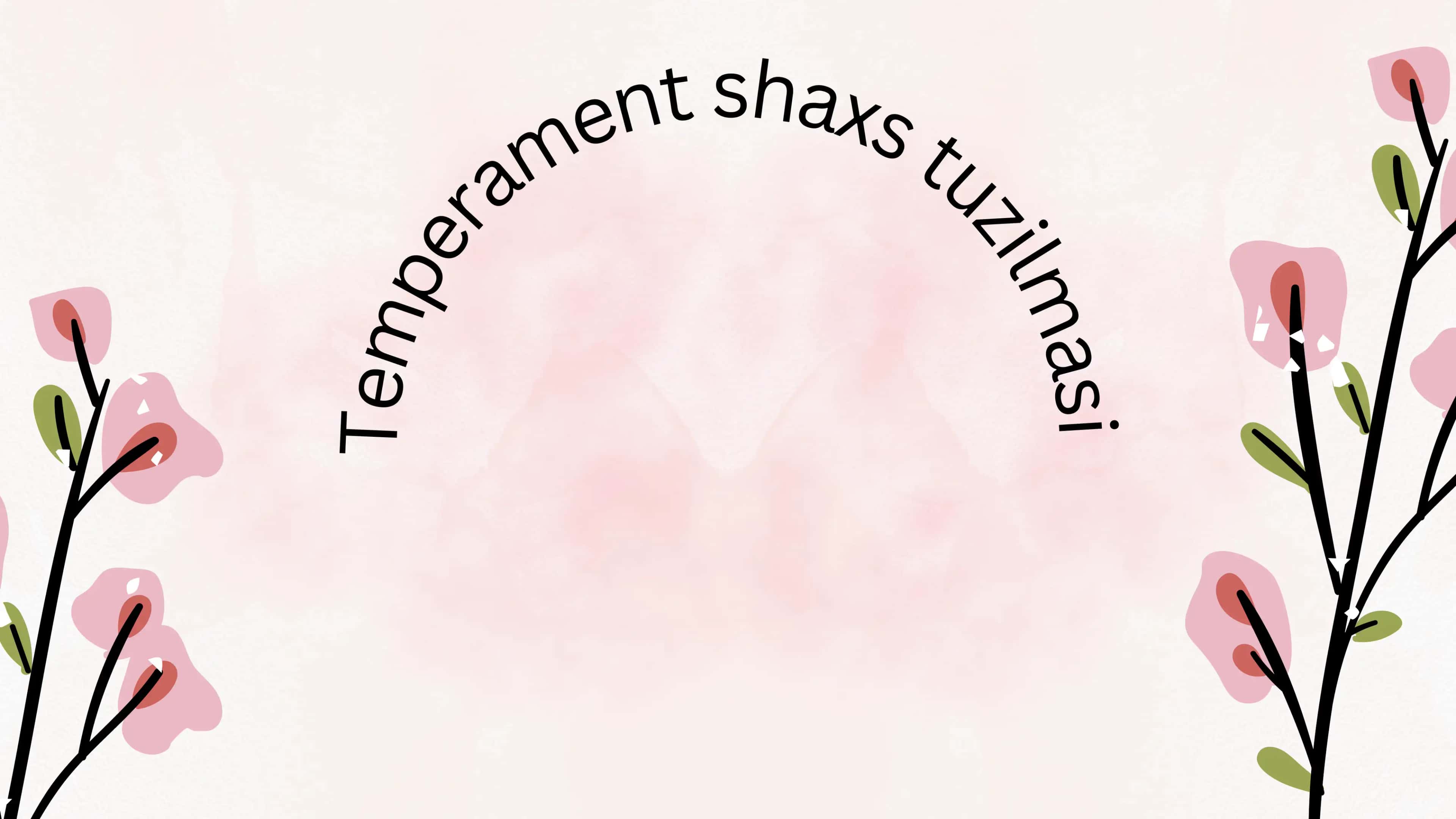Temperament shaxs tuzilmasi 1
