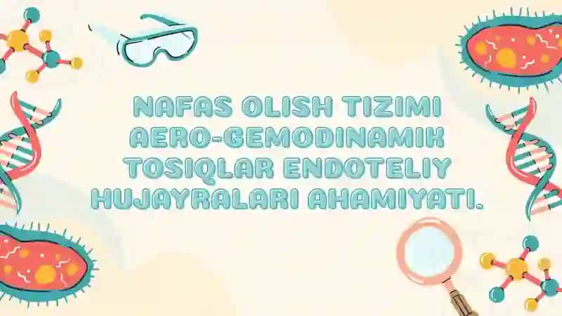 Nafas olish tizimi aero-gemodinamik to’siqlar endoteliy hujayralari ahamiyati