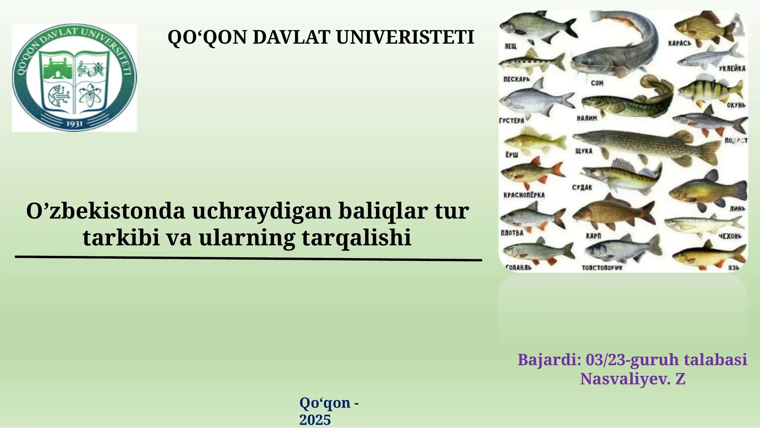 O'zbekistonda uchraydigan baliqlar tur tarkibi va ularning tarqalishi 1
