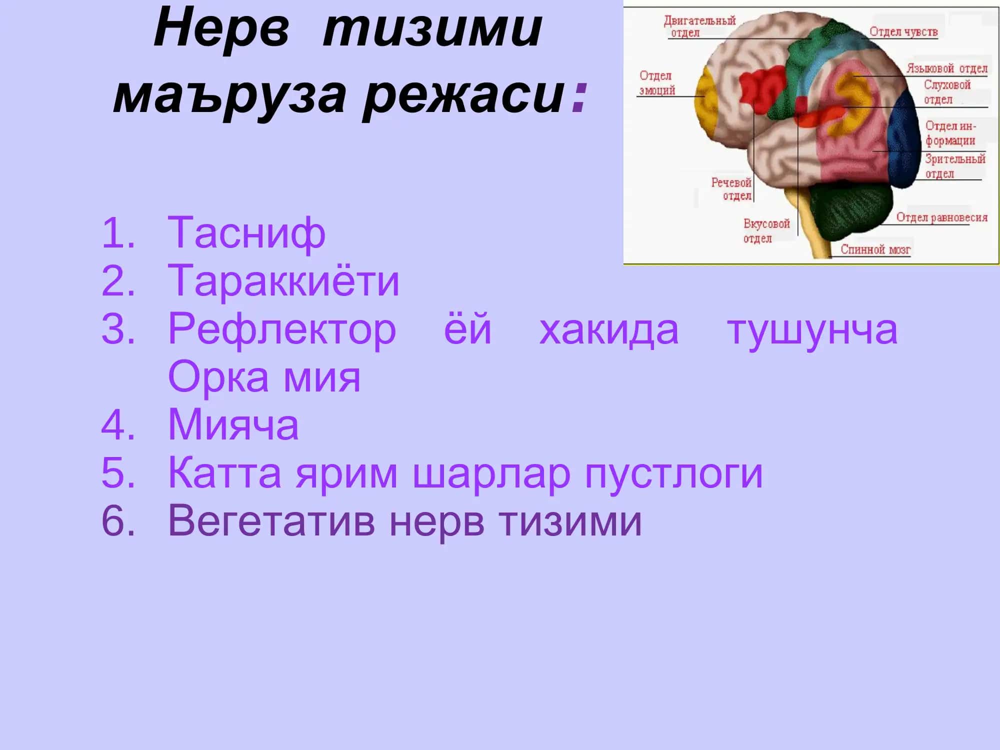 Нерв тизими 1