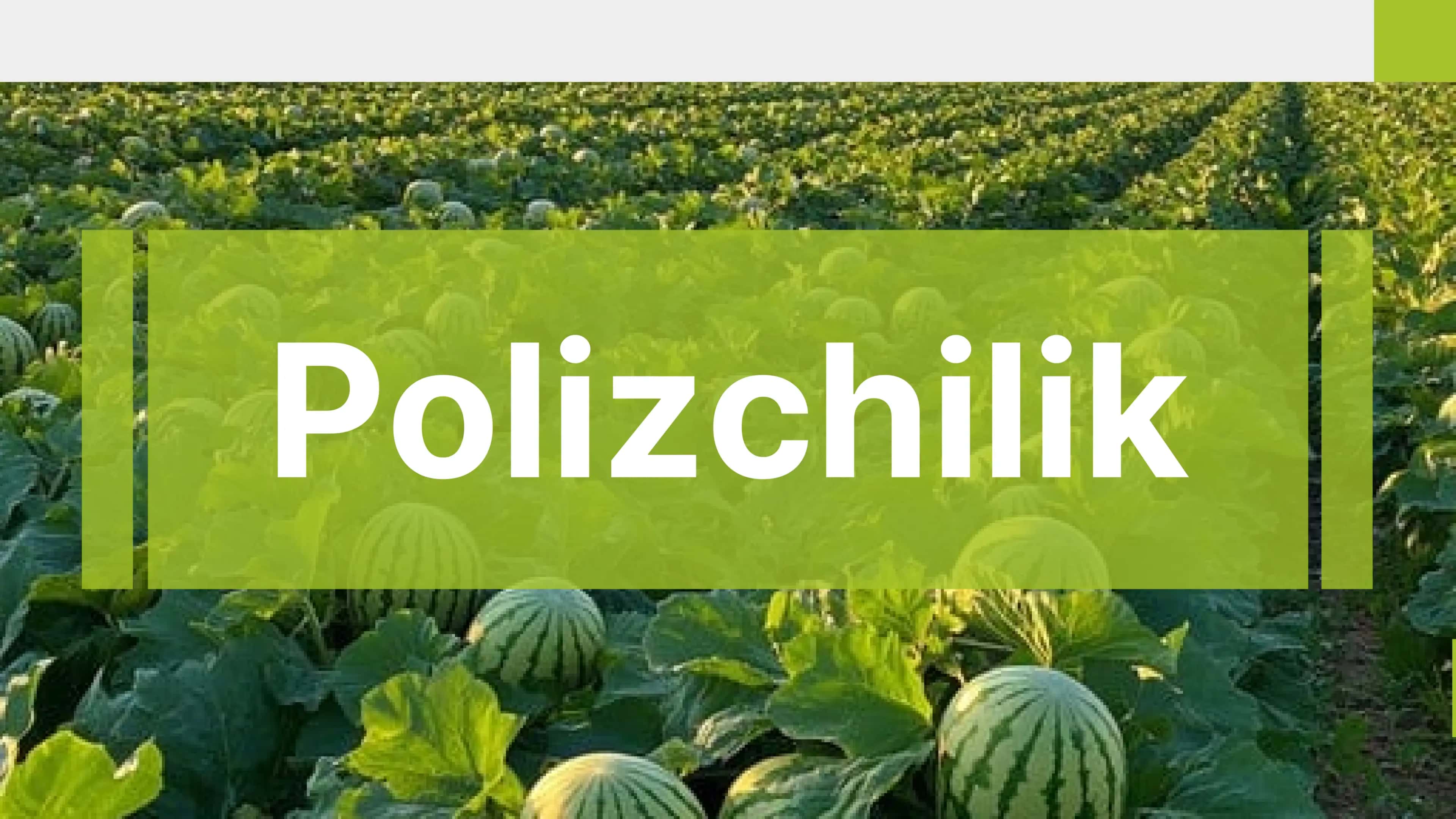Polizchilik 1