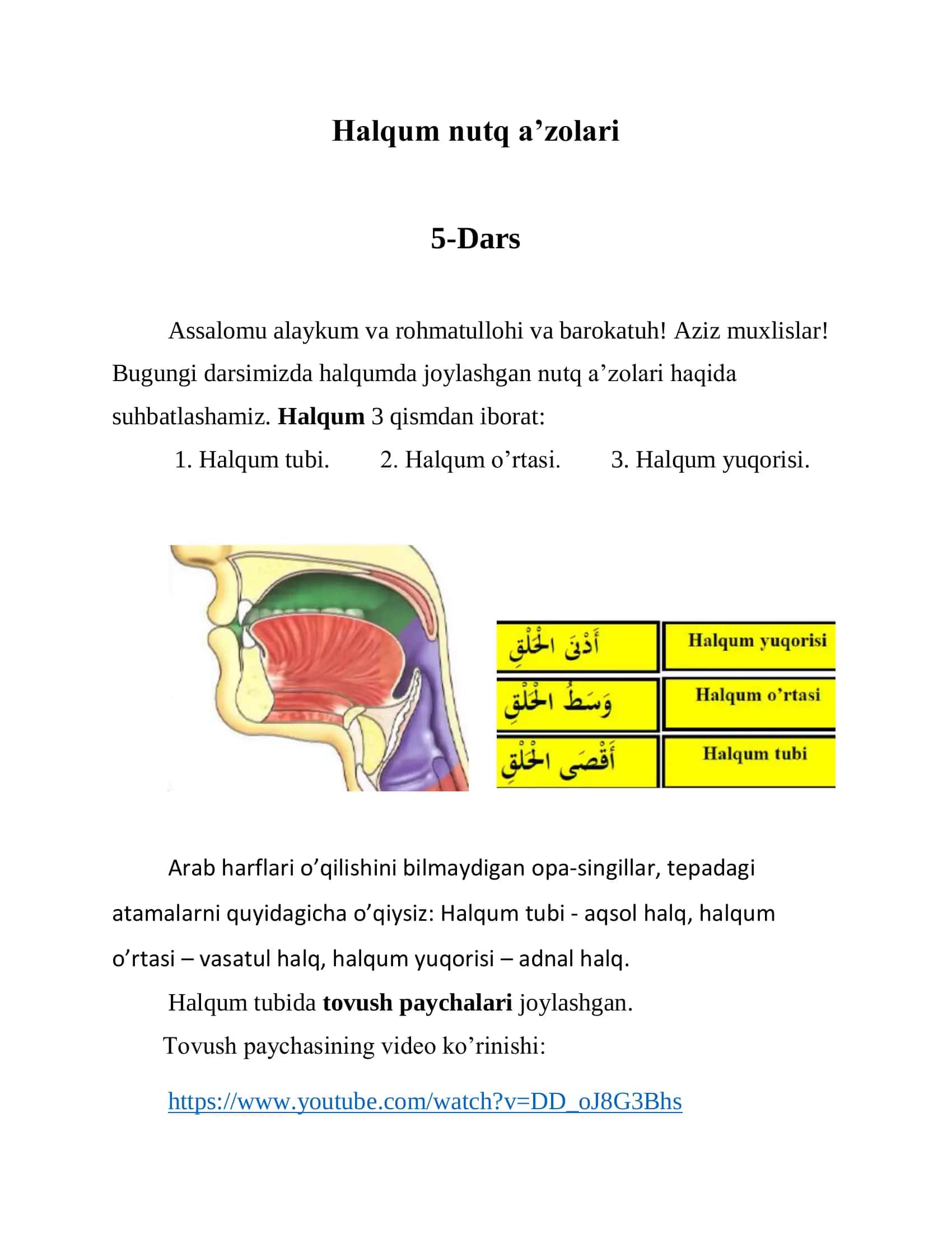 Halqum nutq a’zolari 1