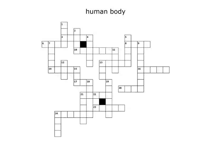 Human Body Anatomy Puzzle
