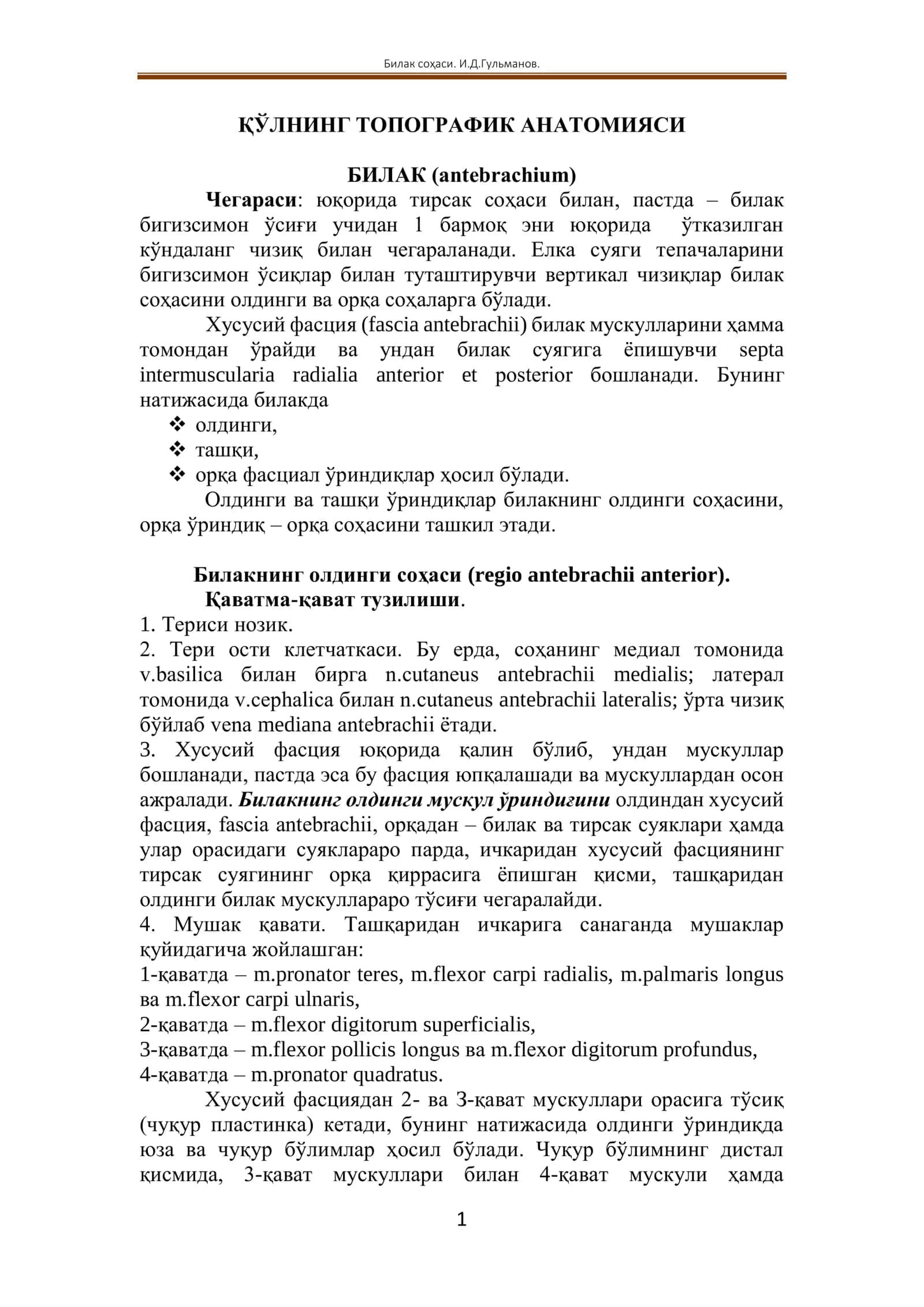 ҚЎЛНИНГ ТОПОГРАФИК АНАТОМИЯСИ 1