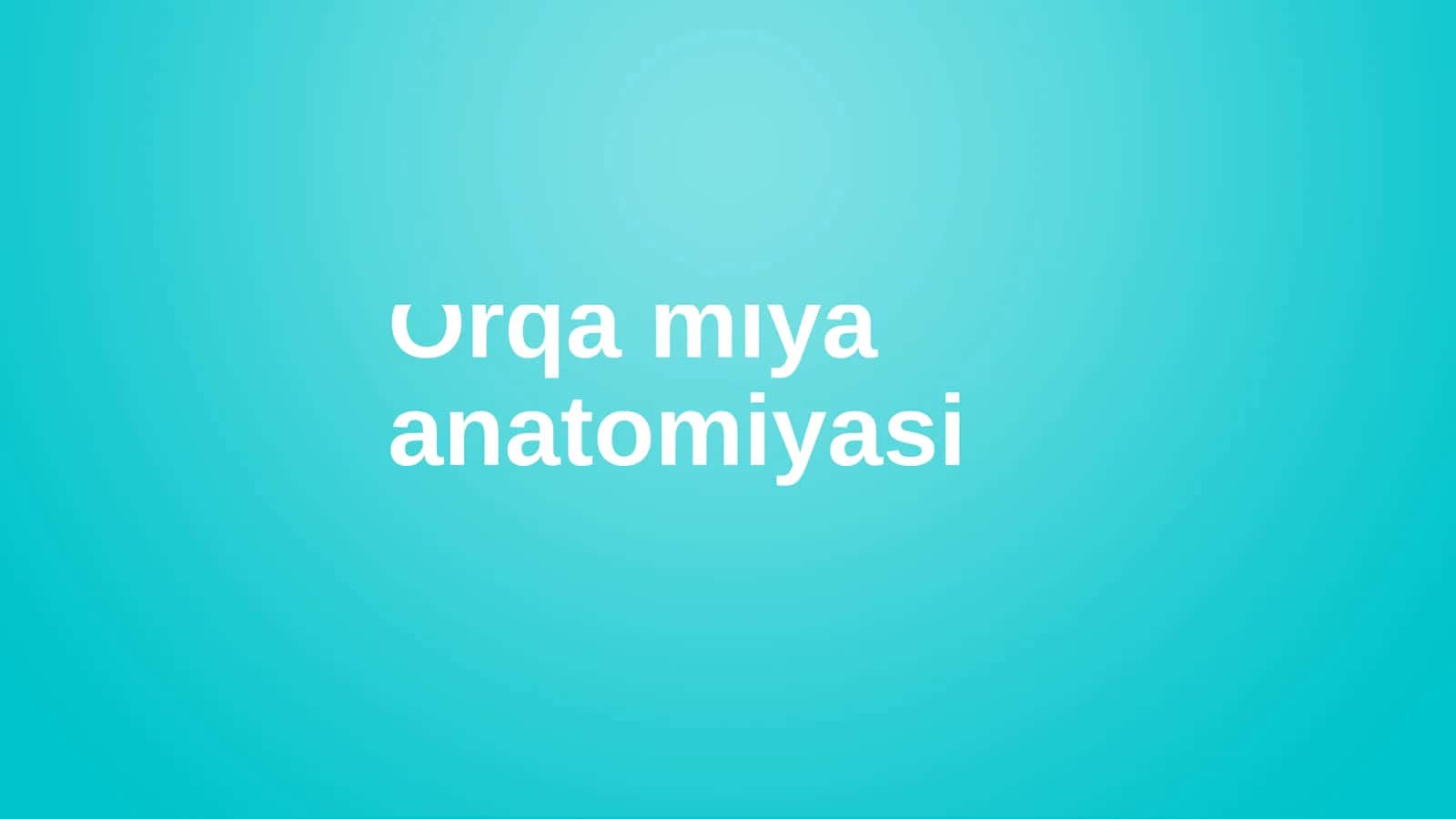 Orqa Miya Anatomiyasi 1