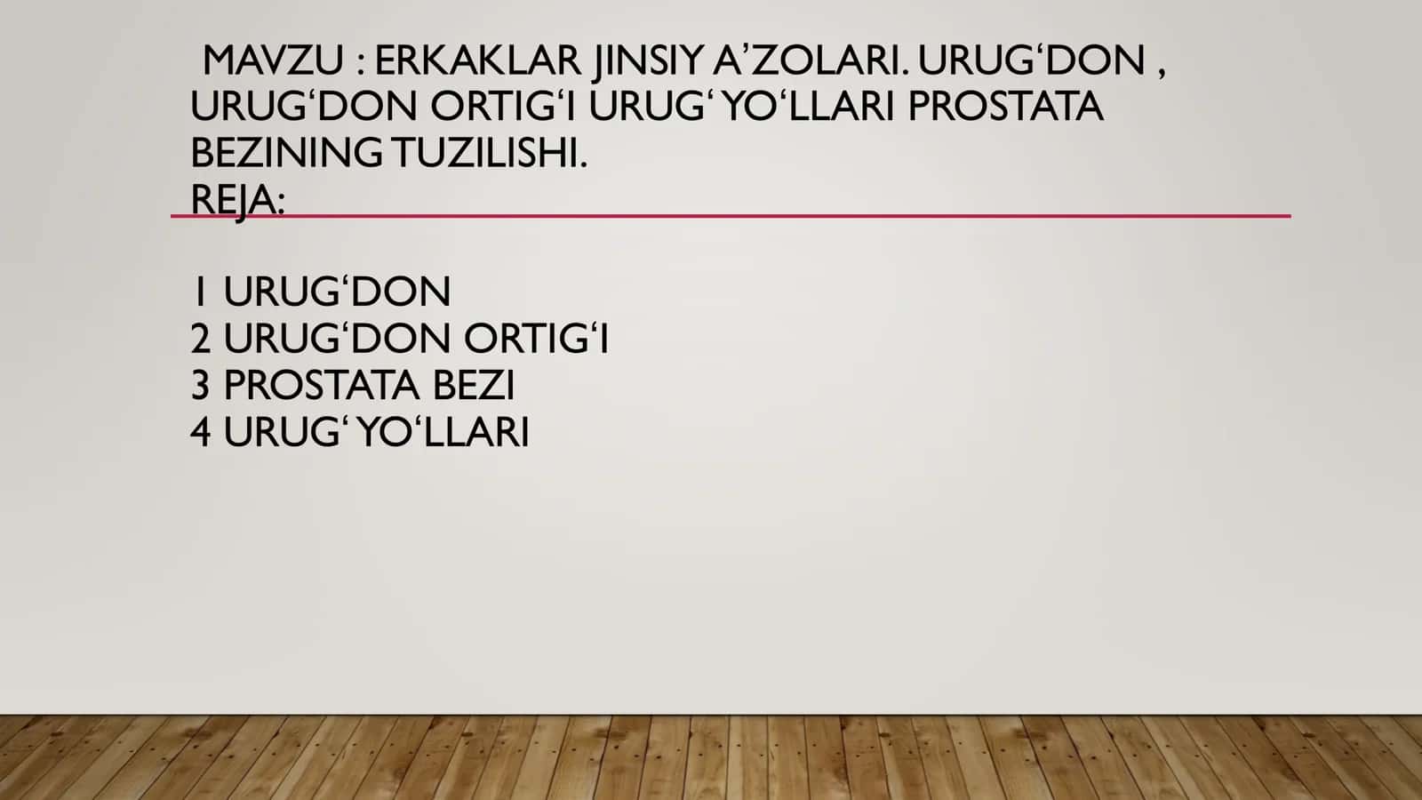 Erkaklar jinsiy sistemasi 1