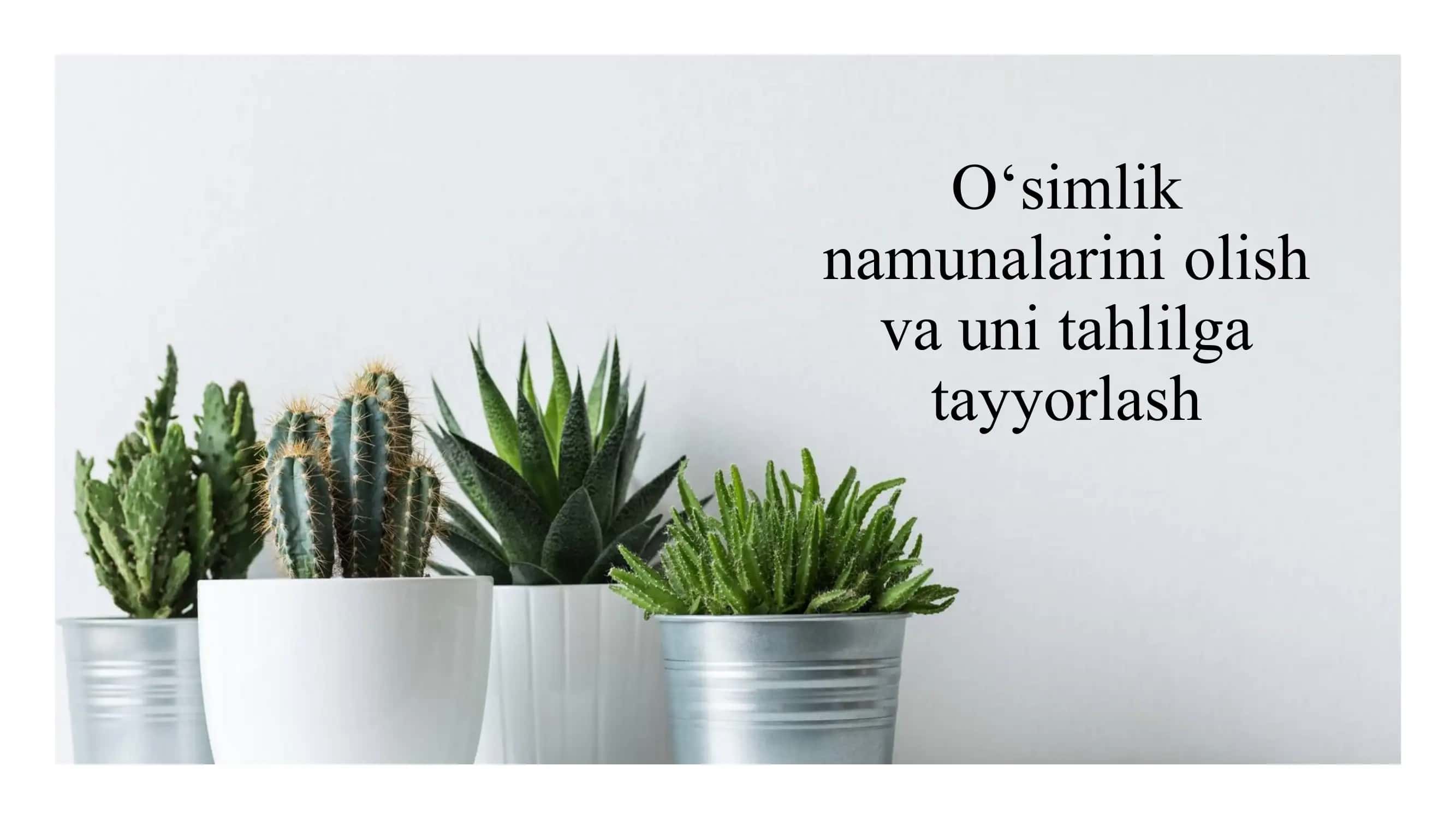 Oʻsimlik namunalarini olish va uni tahlilga tayyorlash 1