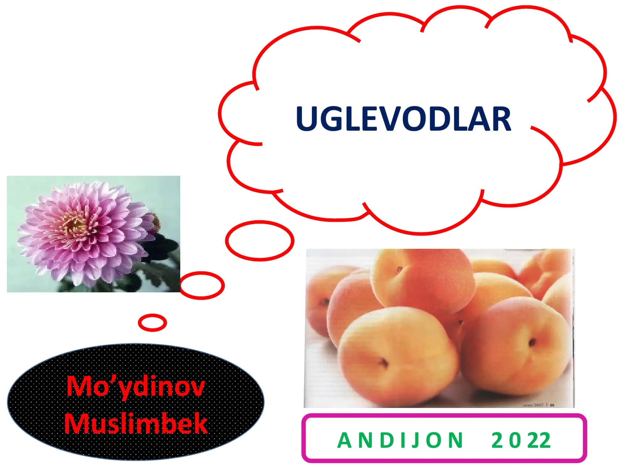 Disaxaridlar 1