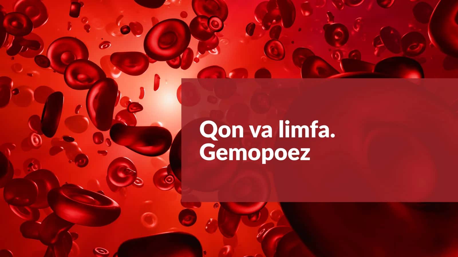 Qon limfa gemopoez 1