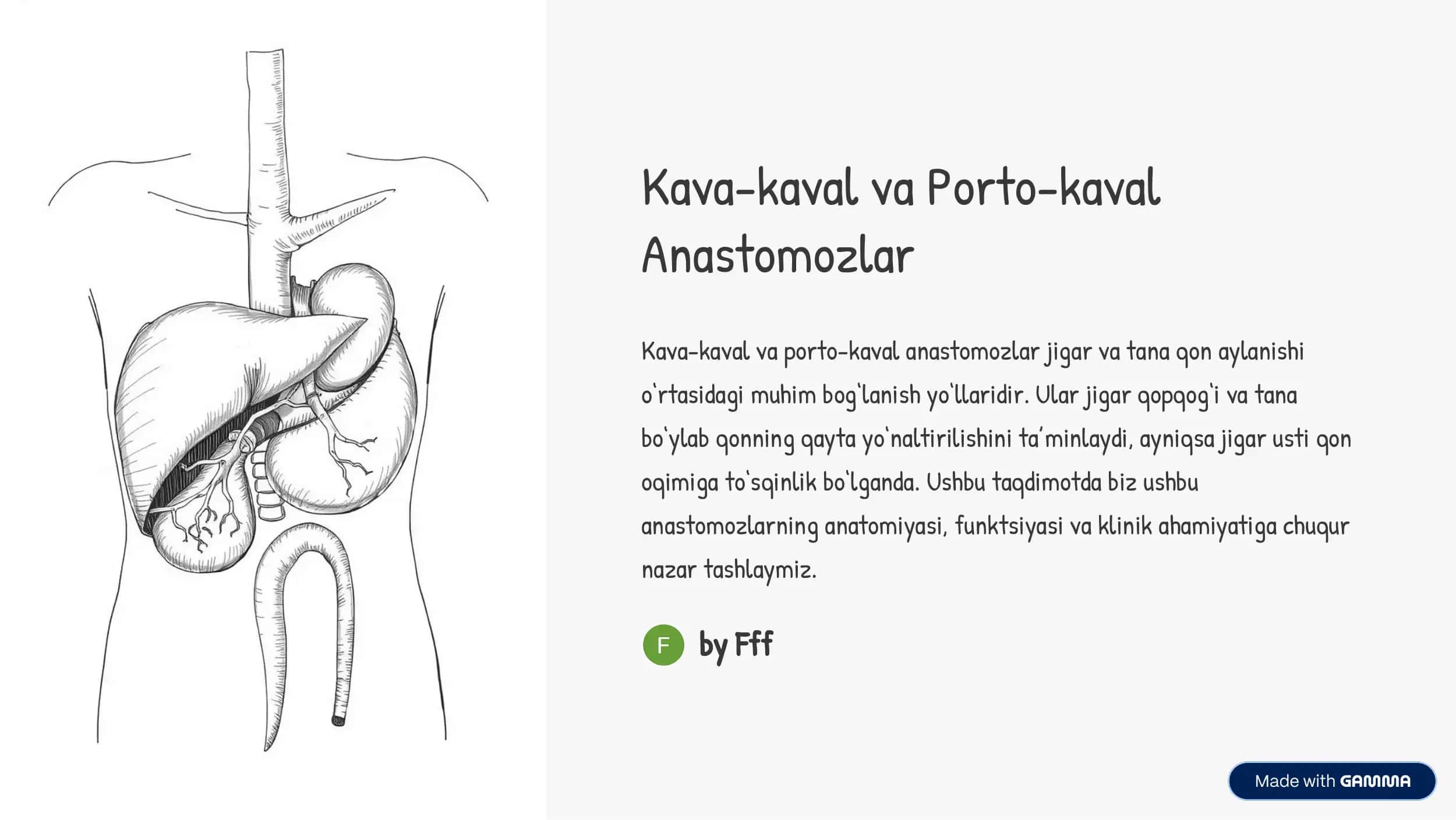 Kava-kaval va Porto-kaval Anastomozlari 1