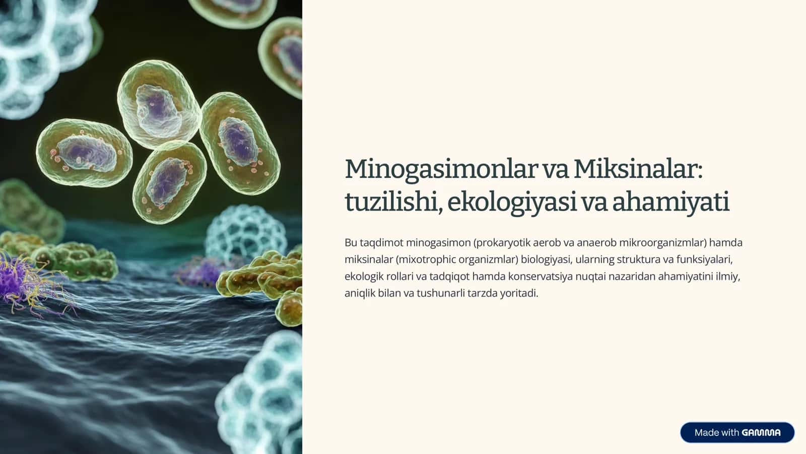 Minogasimonlar va Miksinalar 1